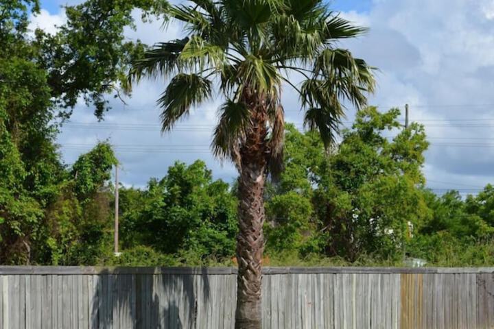 Property Grounds 28 of 31