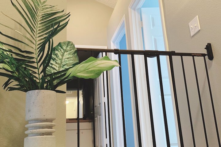 Ballroom/Hall 19 of 21