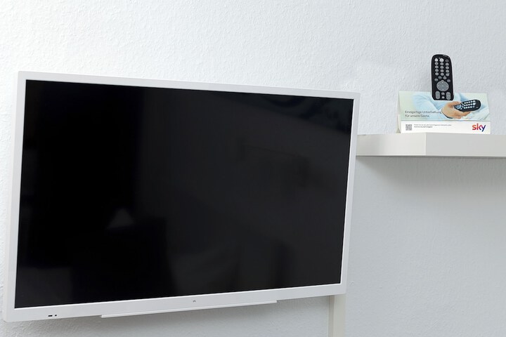 Television