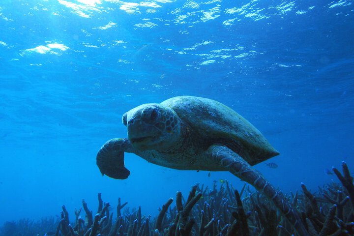 Beach 69 of 75