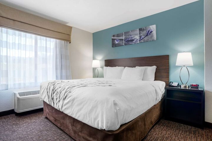 1 King Bed (2 of 18)