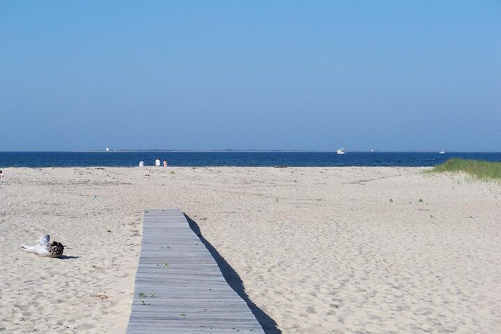 Beach 30 of 46
