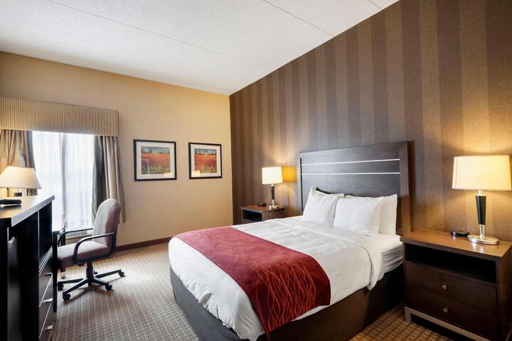 1 King Bed (8 of 9)