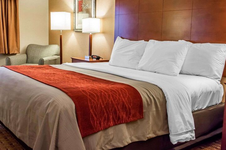 1 King Bed (16 of 16)