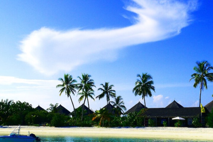 Beach 70 of 81
