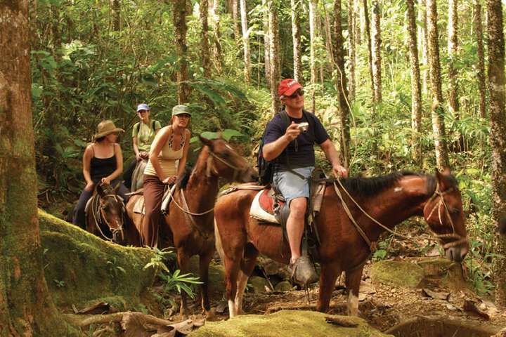 Horseback riding
