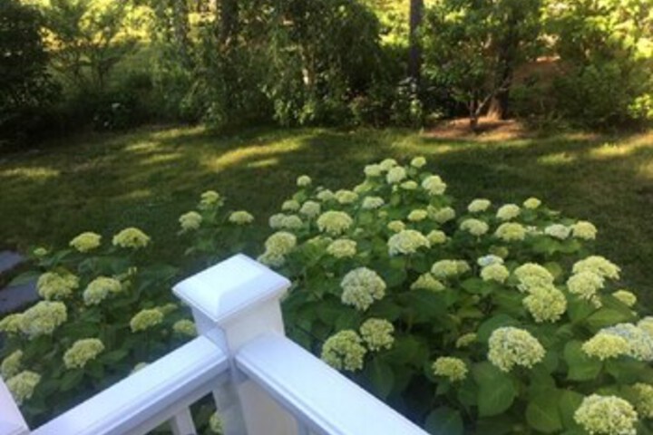 Property Grounds 32 of 43
