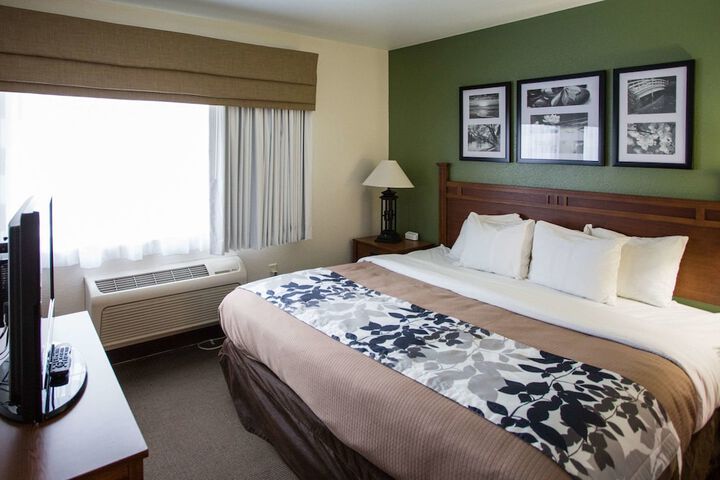 1 King Bed Accessible (1 of 13)
