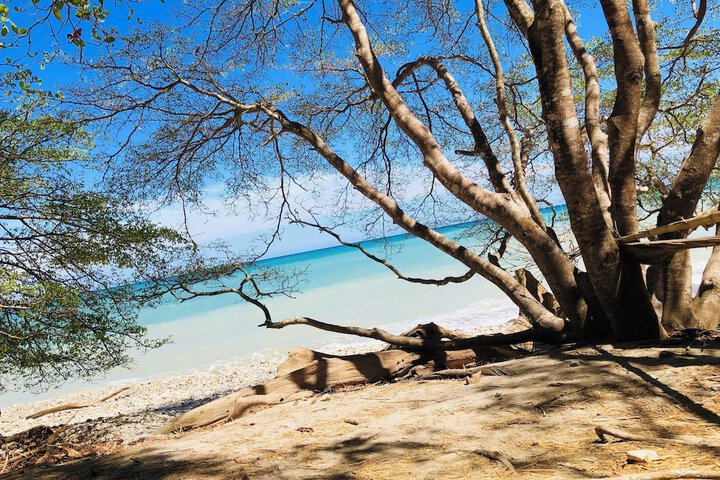 Beach 97 of 107