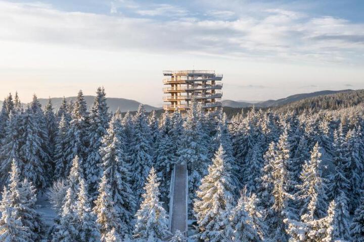 General 40 of 42