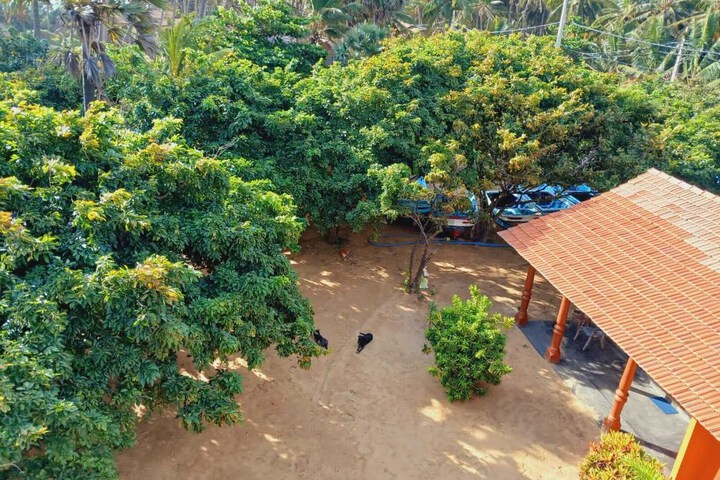 Alankuda Dolphin Village Hotel