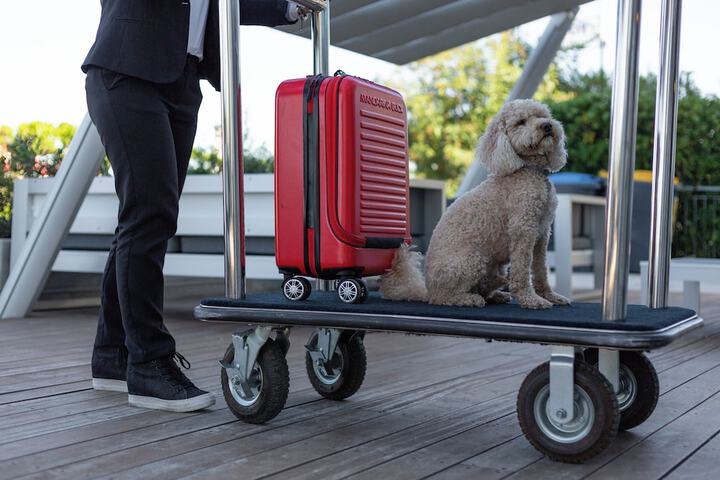 Pet Friendly 64 of 106