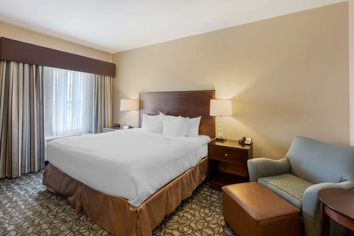 1 King Bed Pet Friendly (9 of 16)