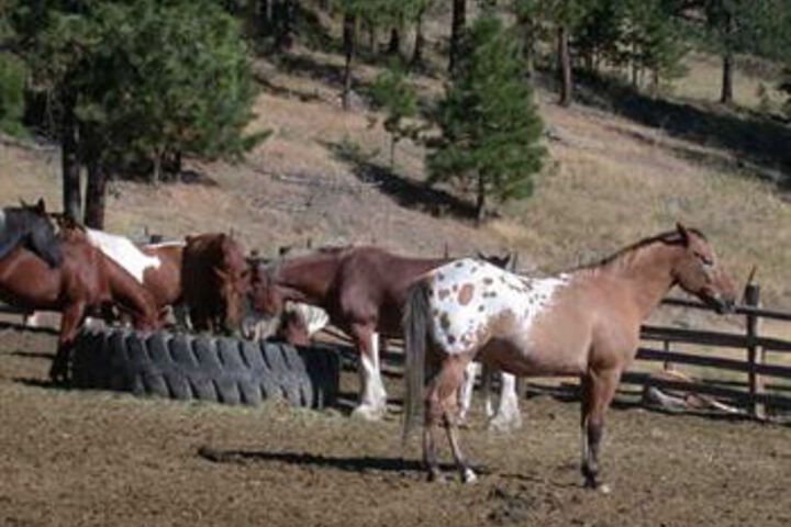 Property Grounds 14 of 20