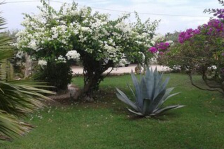 Property Grounds 20 of 32