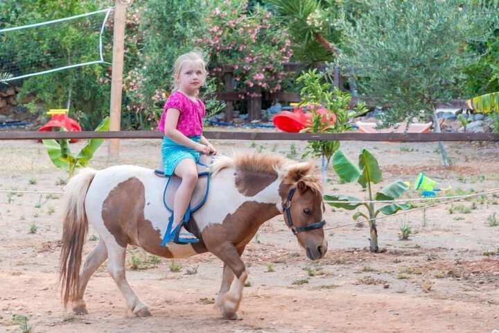Children's activities
