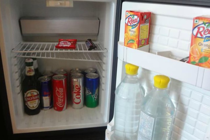 Mini-refrigerator