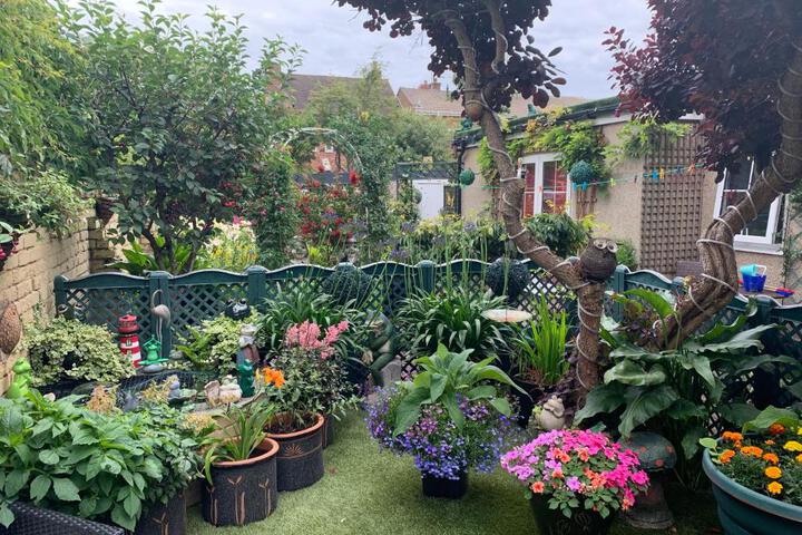 Photo 18