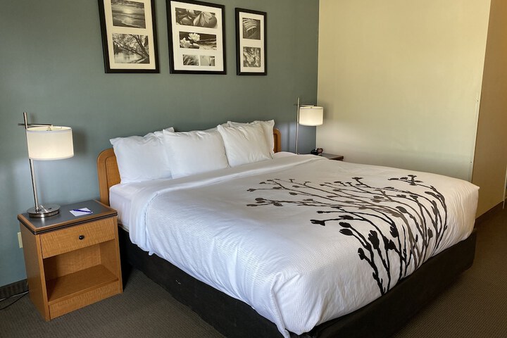 1 King Bed (5 of 14)