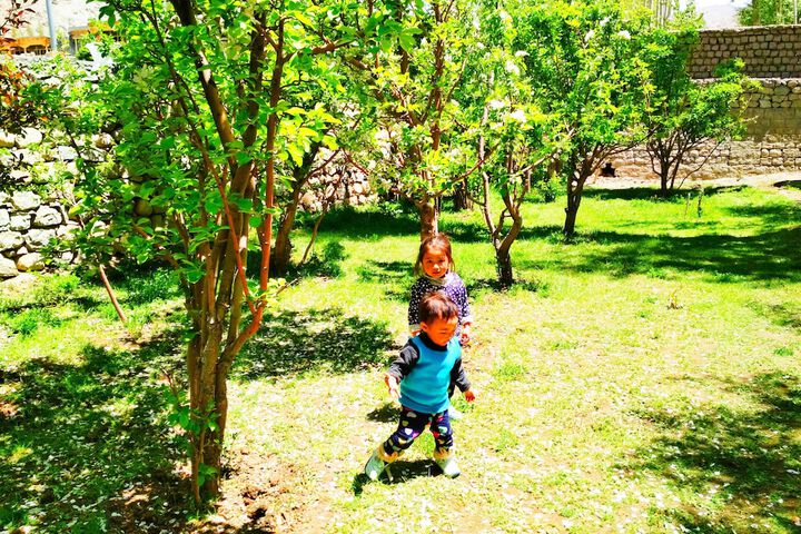 Childrens Activities 17 of 54