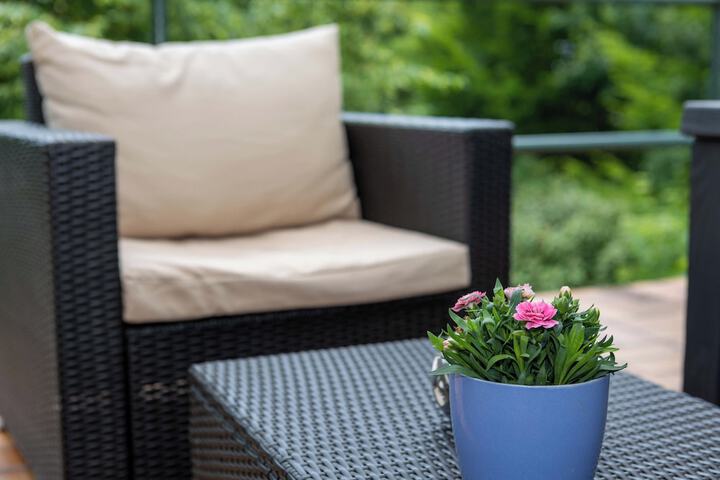 Terrace/Patio 61 of 69