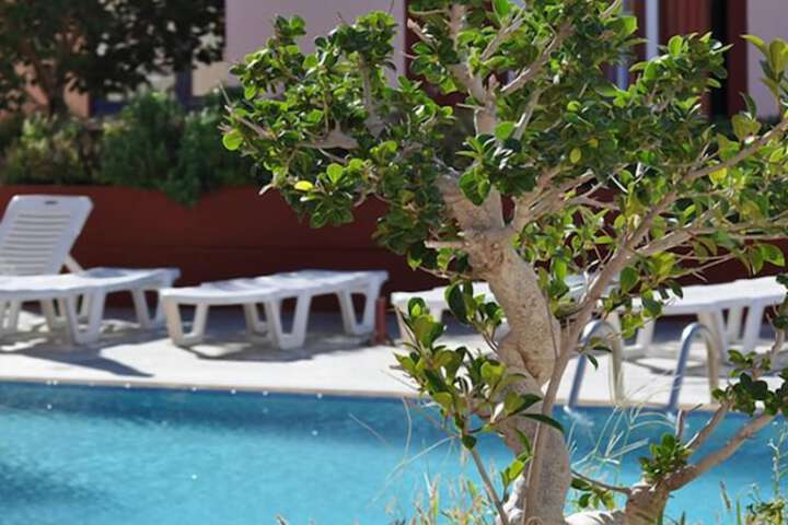 Pools & Facilities