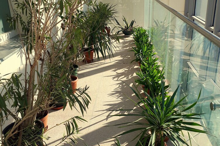 Terrace/Patio 42 of 46