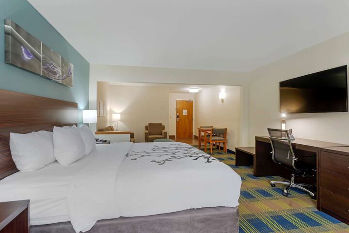 1 King Bed (1 of 15)