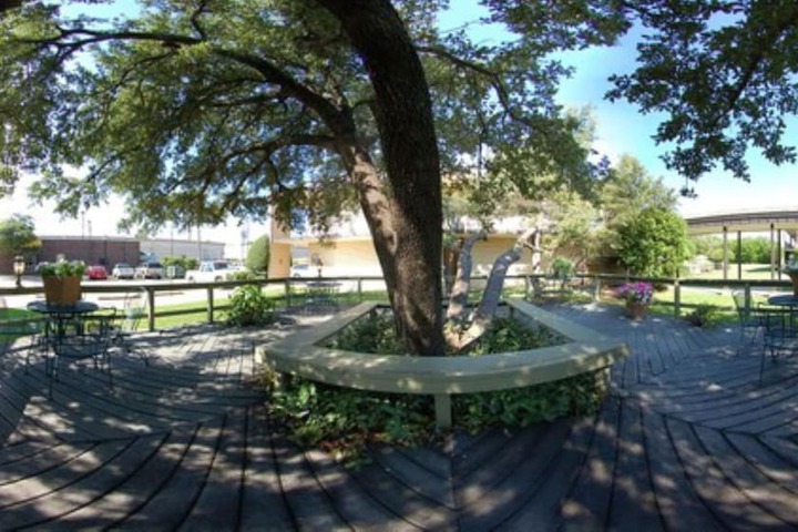 BBQ/picnic area