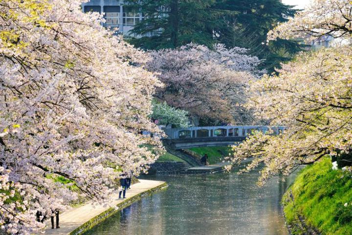 Palais Blanc Koshikaikan