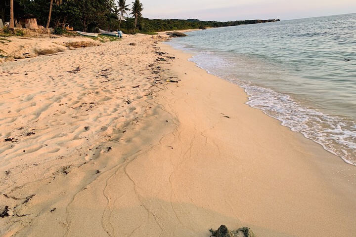 Beach 145 of 238