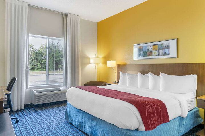 1 King Bed (7 of 20)