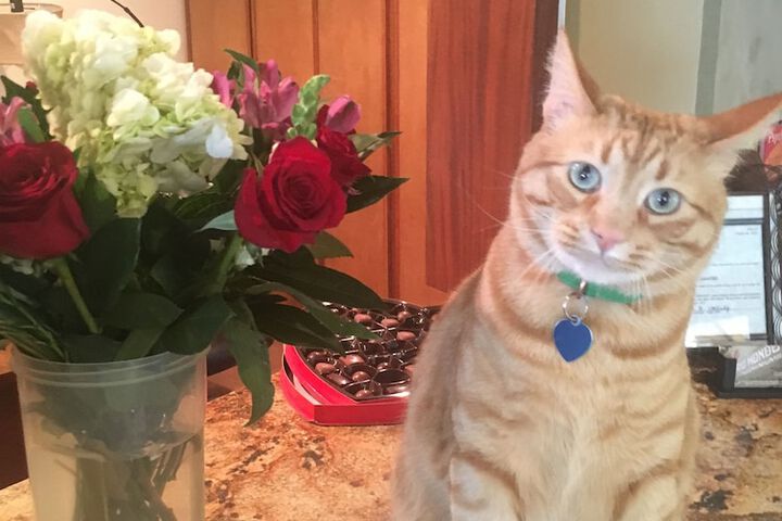 Business Center 36 of 44