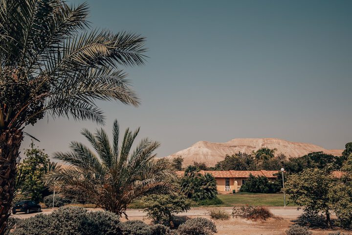 SEVEN Almog