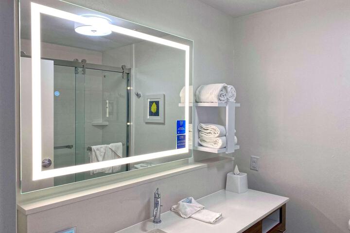 1 King Mobility Hearing Accessible Roll in Shower (8 of 13)