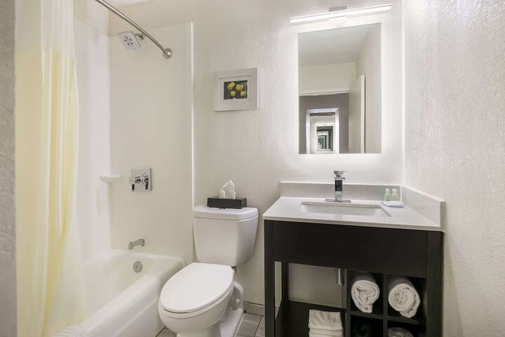 1 Queen Bed Accessible (7 of 11)