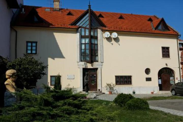 Lenau Ház
