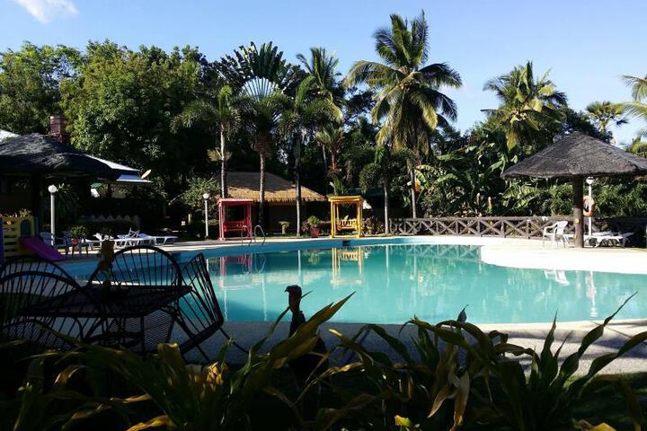 Pool 8 of 8