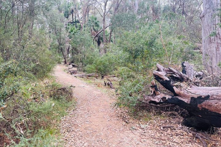 Hiking