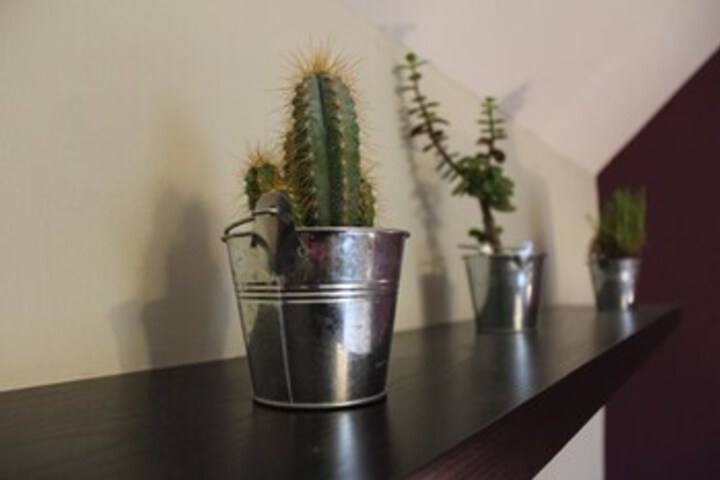 Room 9 of 19