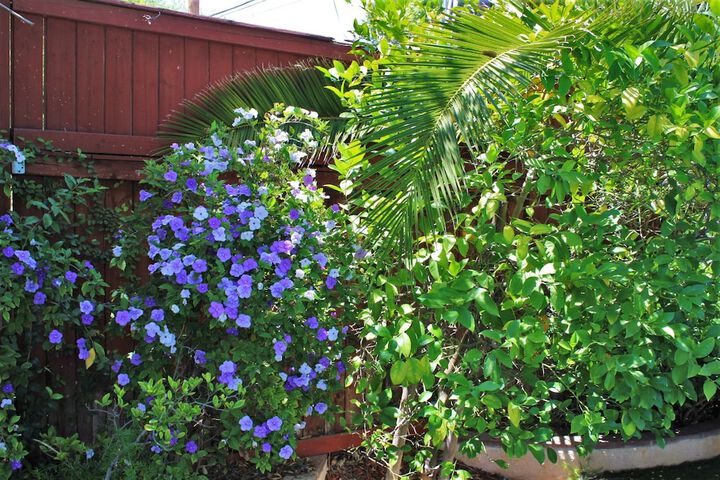 Hotel Exterior 65 of 72