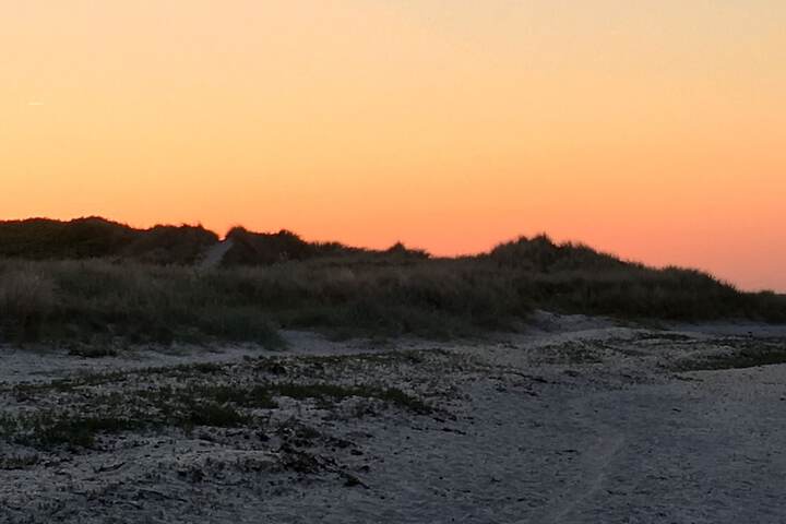 Beach 31 of 40