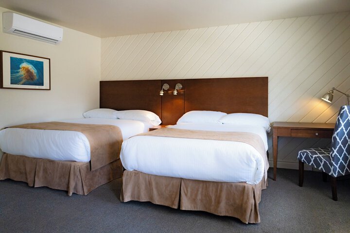 Room 11 of 50