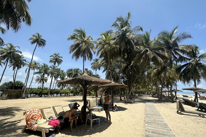 Beach 80 of 113