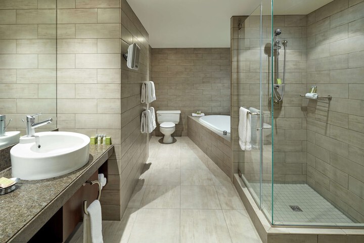 1 King Bed Suite (7 of 17)