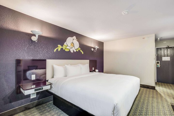 1 King Bed (7 of 9)