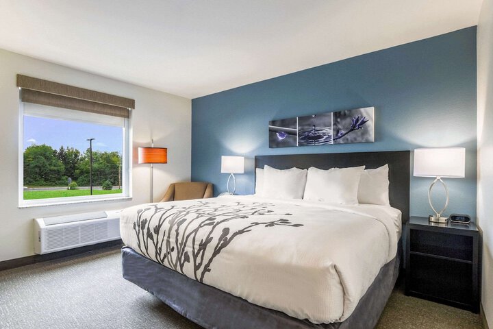 1 King Bed (3 of 16)