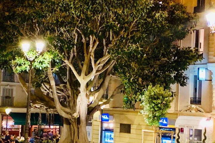 Spa and Wellness Pictures