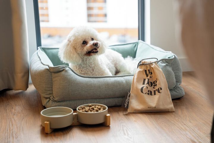 Pet Friendly 43 of 82
