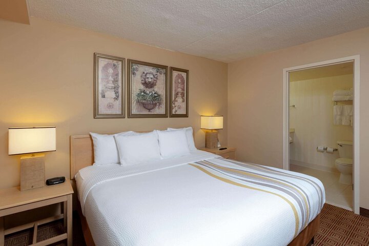 1 King Bed Accessible Room Bathtub with Grab Bars (8 of 25)